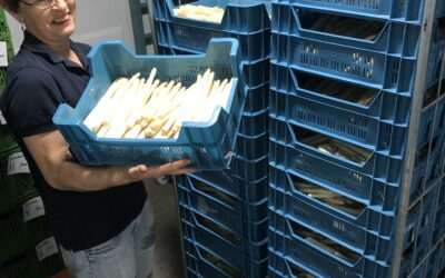 Asperges
